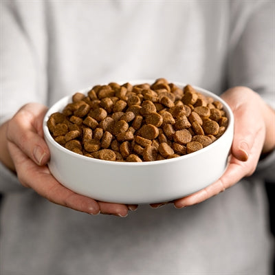Afbeelding laden in galerijviewer, Smolke Puppy maxi
