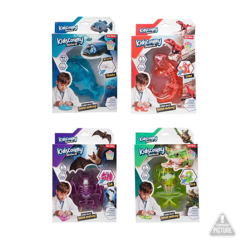 Afbeelding laden in galerijviewer, Toi-toys slijm uitgraafset dier met tool
