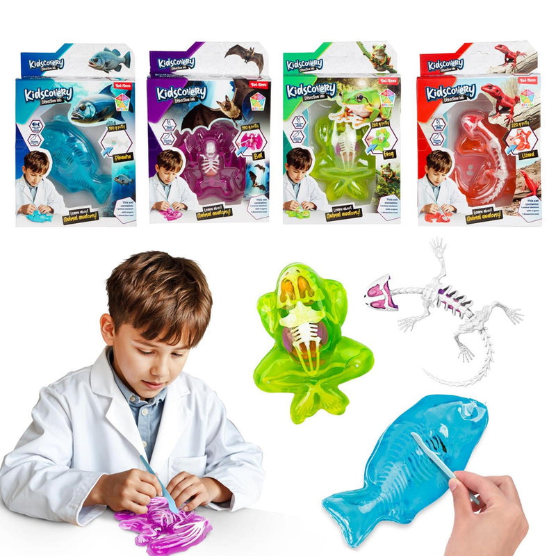 Afbeelding laden in galerijviewer, Toi-toys slijm uitgraafset dier met tool
