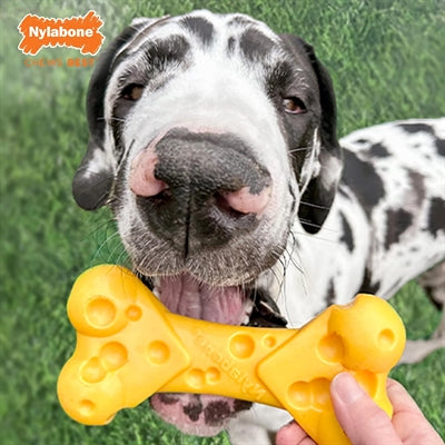 Afbeelding laden in galerijviewer, Nylabone dura chew cheese bone

