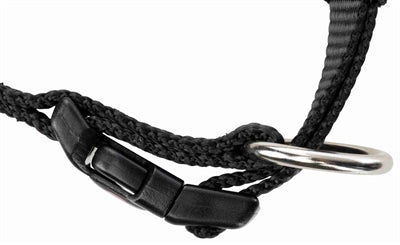 Afbeelding laden in galerijviewer, Trixie halsband hond premium zwart

