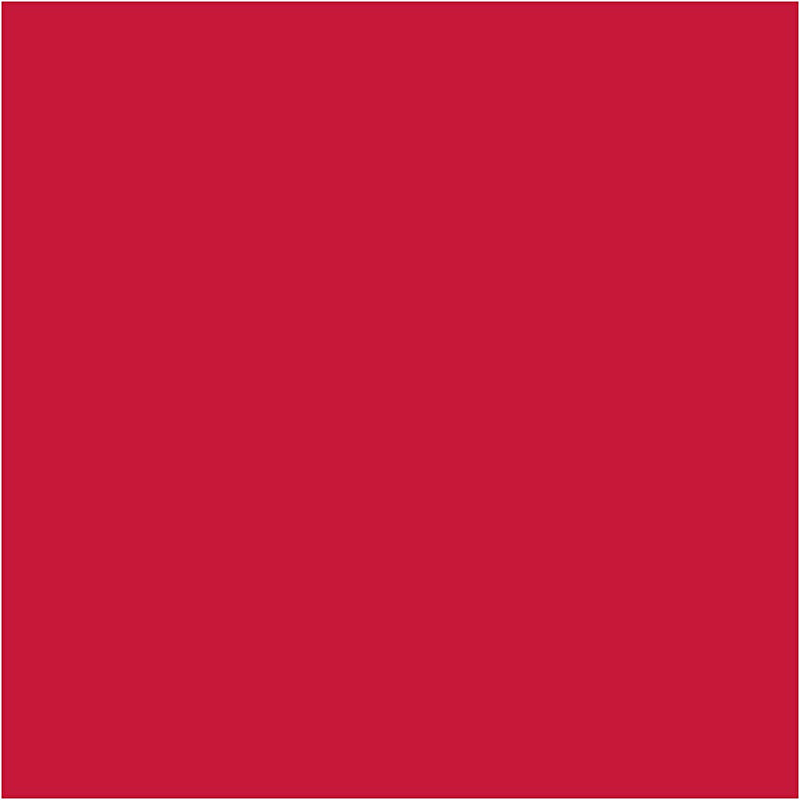 Afbeelding laden in galerijviewer, Https: www.cchobby.nl creall-studio-acrylverf-dekkend-carmine-red-12-120-ml-1-fles
