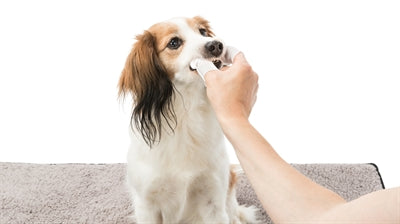 Afbeelding laden in galerijviewer, Trixie Dentalcare vingerpads
