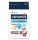 Advance Mini senior