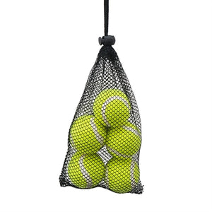 Rosewood Jolly doggy tennisbal mini