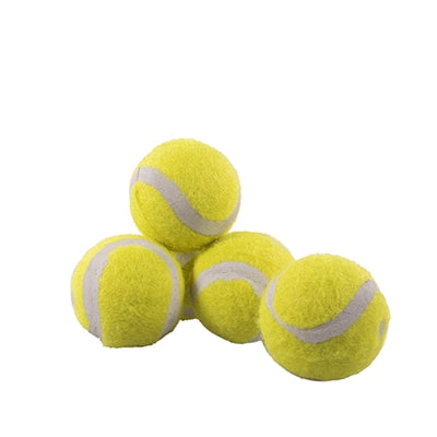 Afbeelding laden in galerijviewer, Rosewood Jolly doggy tennisbal mini
