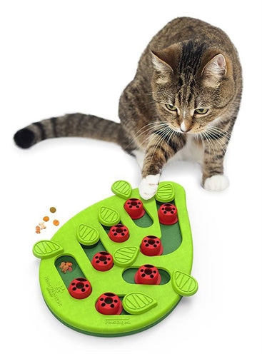 Afbeelding laden in galerijviewer, Nina ottosson puzzle play buggin out groen
