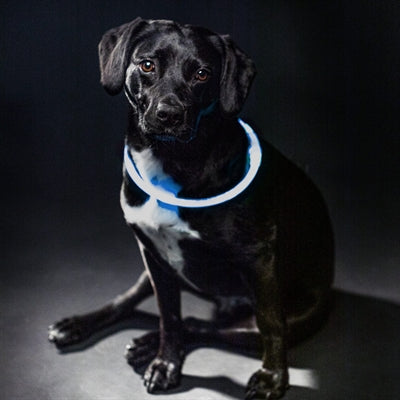 Afbeelding laden in galerijviewer, Trixie lichtgevende halsband usb flash light oplaadbaar tpu blauw
