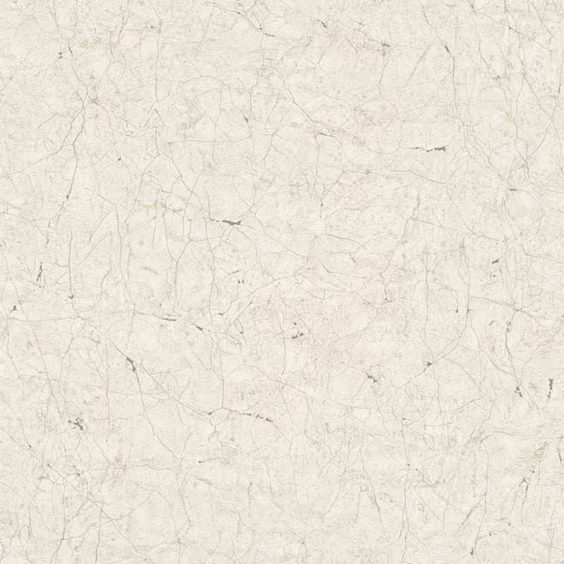Afbeelding laden in galerijviewer, Noordwand behang vintage deluxe stucco crackle grijs en wit
