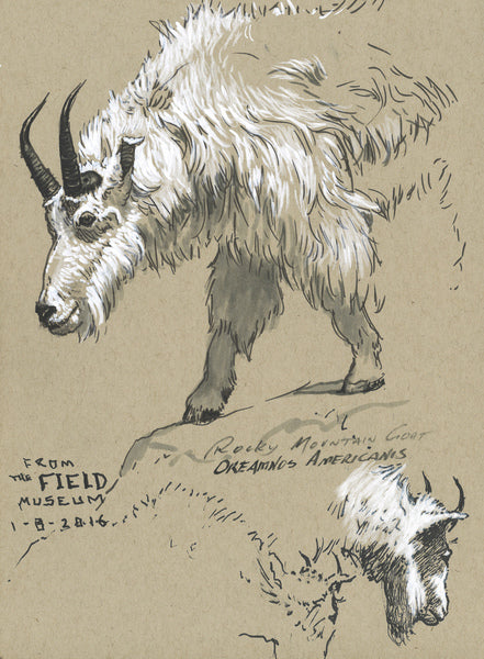 Afbeelding laden in galerijviewer, Faber-castell fineliner - tekenstift - pitt artist pen - zwart en wit - 4-stuks - fc-167151
