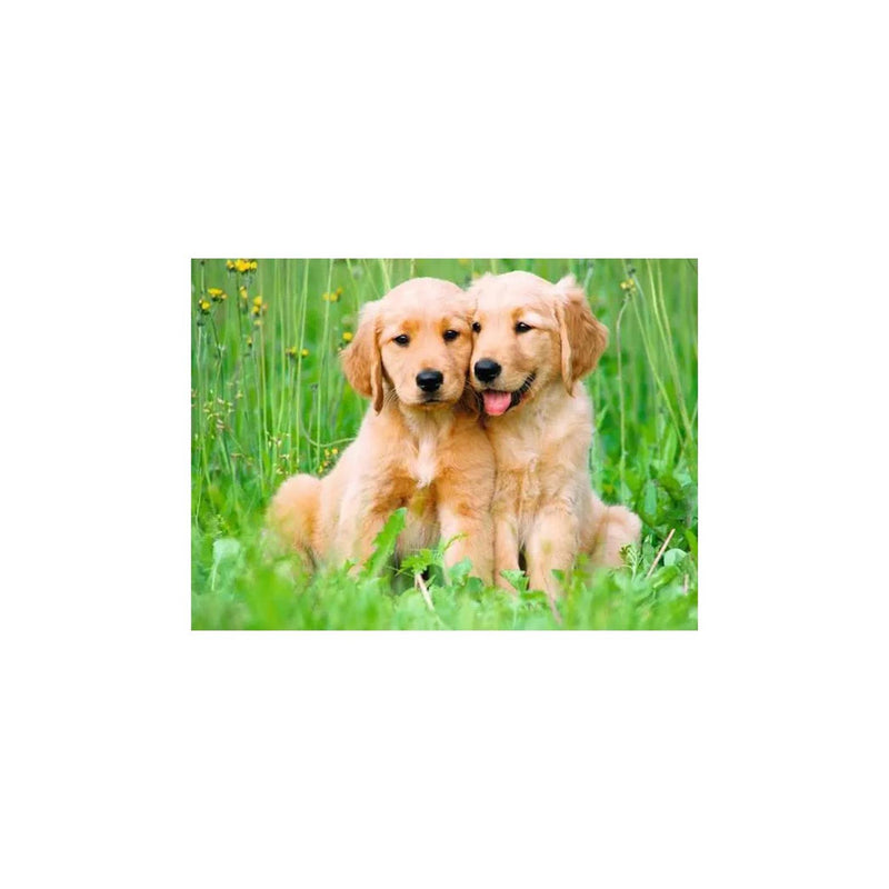 Afbeelding laden in galerijviewer, Ravensburger – the golden retriever brothers – legpuzzel – 500 stukjes
