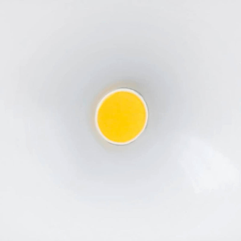 Afbeelding laden in galerijviewer, Steinel Steinel Sensor spotlight voor buiten LS 150 LED wit 052553
