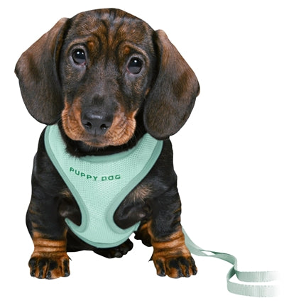 Afbeelding laden in galerijviewer, Trixie Junior puppytuig soft met riem mintgroen
