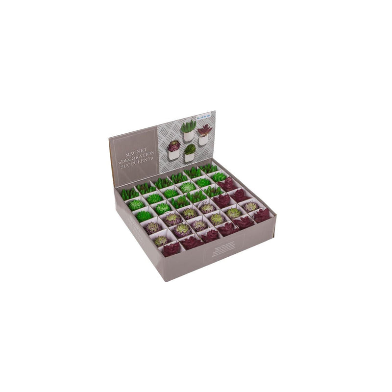 Afbeelding laden in galerijviewer, Ootb magneet vetplant in pot 3x5cm 4 assorti
