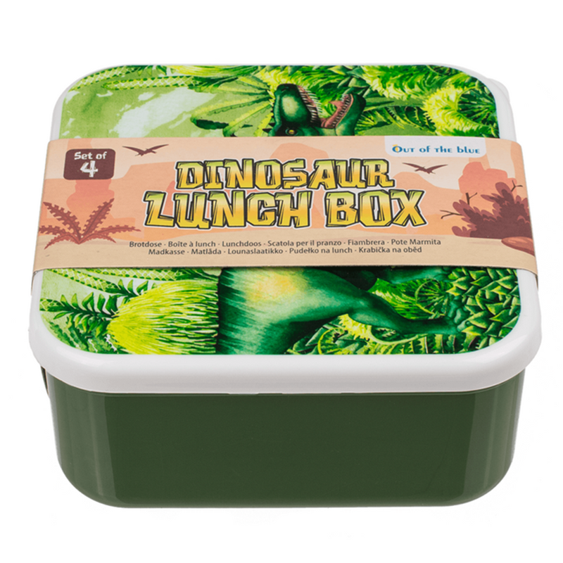 Afbeelding laden in galerijviewer, Lunchbox, dinosaurus, set van 4.

