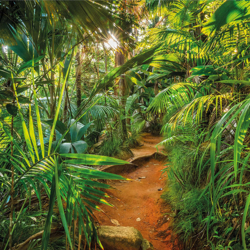 Afbeelding laden in galerijviewer, Komar fotobehang jungle trail 368x254 cm
