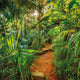 Komar fotobehang jungle trail 368x254 cm