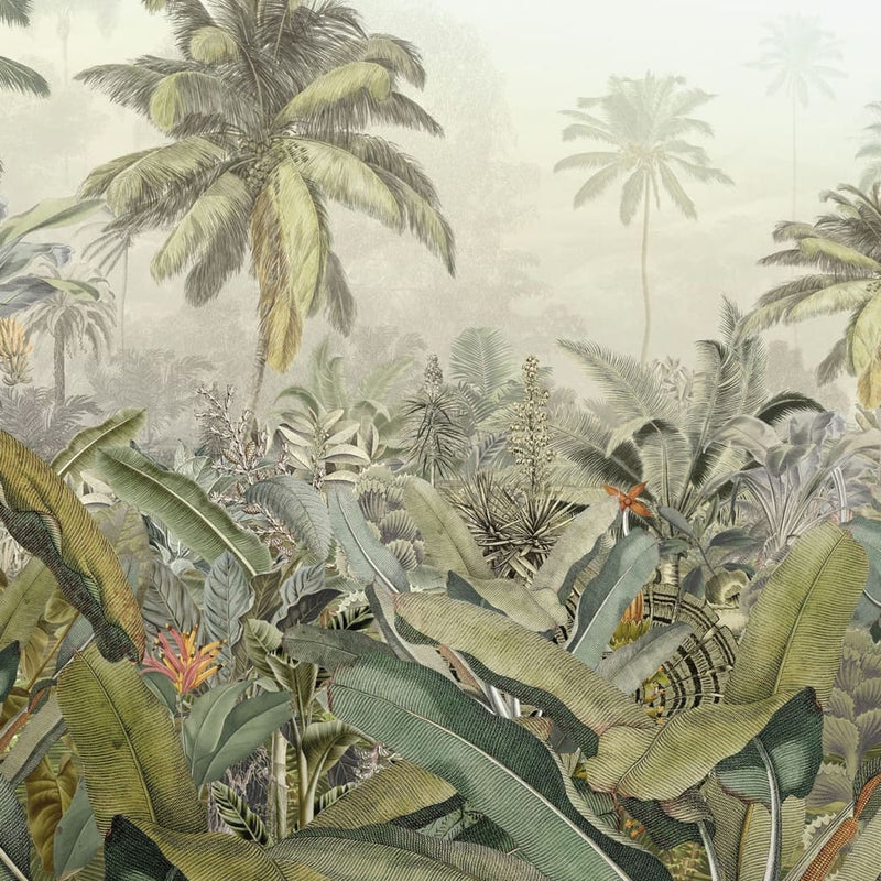 Afbeelding laden in galerijviewer, Komar Komar Fotobehang Amazonia 368x248 cm
