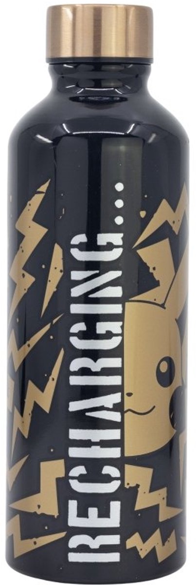 Stor pokémon aluminium fles 755ml