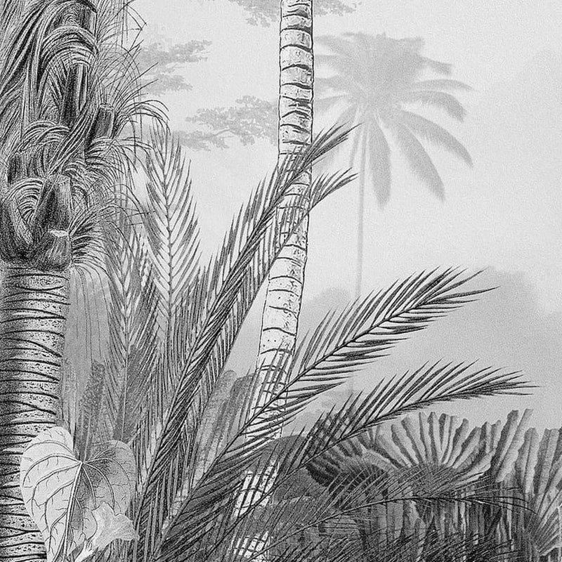 Afbeelding laden in galerijviewer, Komar fotobehang lac tropical black white 200x270 cm
