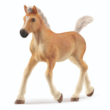 Schleich horse club - haflingerveulen - 13951