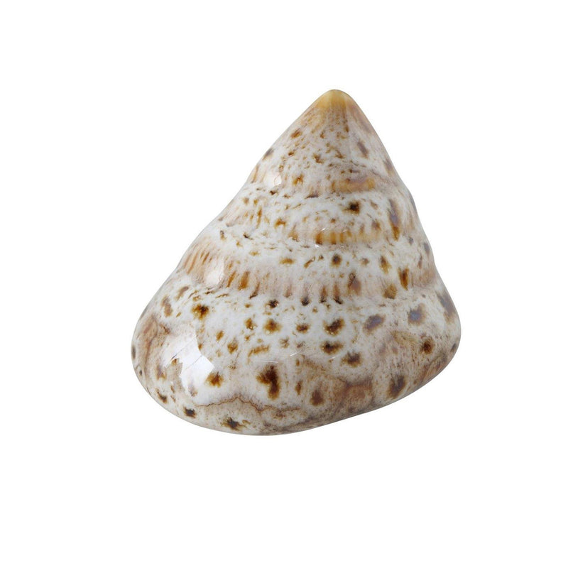 Afbeelding laden in galerijviewer, Boltze home decoratieve schelp 7x6x4cm beige bruin 4 assorti
