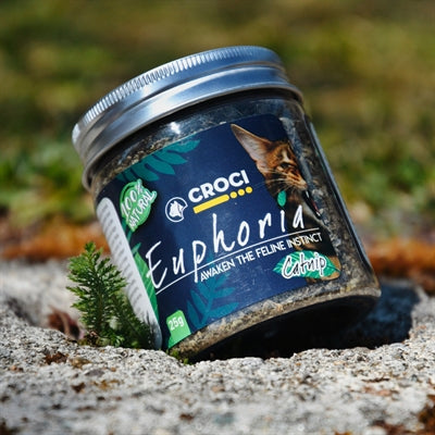 Afbeelding laden in galerijviewer, Croci euphoria catnip pot
