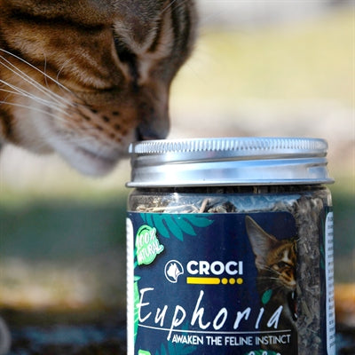 Afbeelding laden in galerijviewer, Croci euphoria catnip pot
