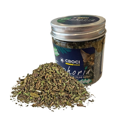 Afbeelding laden in galerijviewer, Croci euphoria catnip pot
