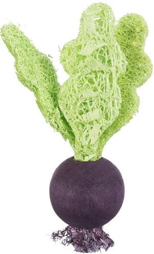 Afbeelding laden in galerijviewer, Trixie speelbal set biet aardbei hout loofah
