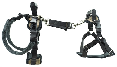 Afbeelding laden in galerijviewer, Petsafe carelift voor en achter
