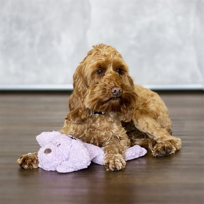 Afbeelding laden in galerijviewer, Aromadog calm laying down dog

