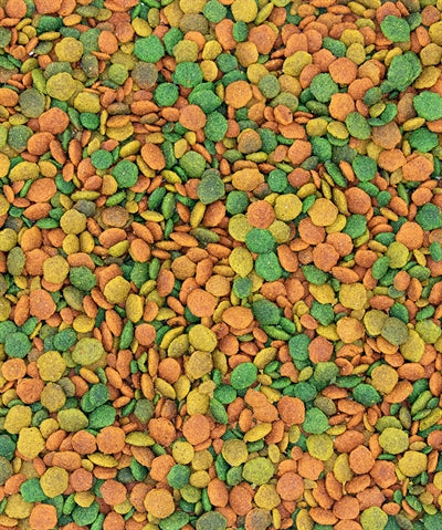Afbeelding laden in galerijviewer, Nutribird Tropical g14 onderhoudsvoeder
