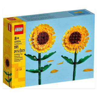 Lego | 2 stuks