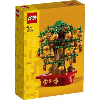 Afbeelding laden in galerijviewer, Lego 40648 seasons and occasions geldboom
