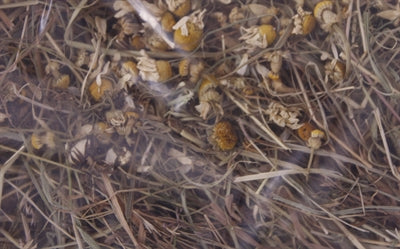 Afbeelding laden in galerijviewer, Excellent kruidenhooi kamille en paardenbloem
