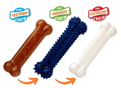 Afbeelding laden in galerijviewer, Nylabone puppy chew puppy starter kit chicken
