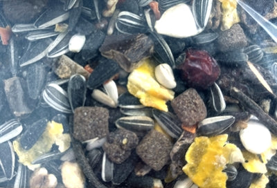 Afbeelding laden in galerijviewer, Utopia Eekhoorn mix
