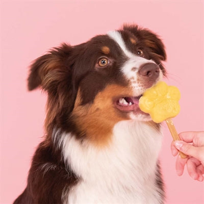 Afbeelding laden in galerijviewer, Smoofl ijsmix voor honden appel
