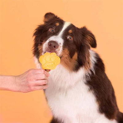 Afbeelding laden in galerijviewer, Smoofl Smoofl ijsmix voor honden mango
