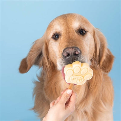 Afbeelding laden in galerijviewer, Smoofl ijsmix voor honden pindakaas

