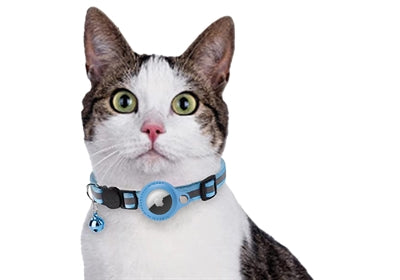 Afbeelding laden in galerijviewer, Croci Halsband kat met tag houder lichtblauw
