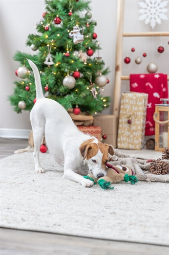 Afbeelding laden in galerijviewer, Trixie Xmas luiaard pluche flostouw
