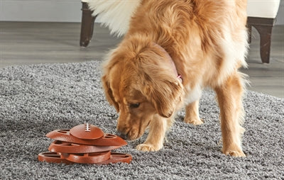 Afbeelding laden in galerijviewer, Brightkins Touchdown time treat puzzle
