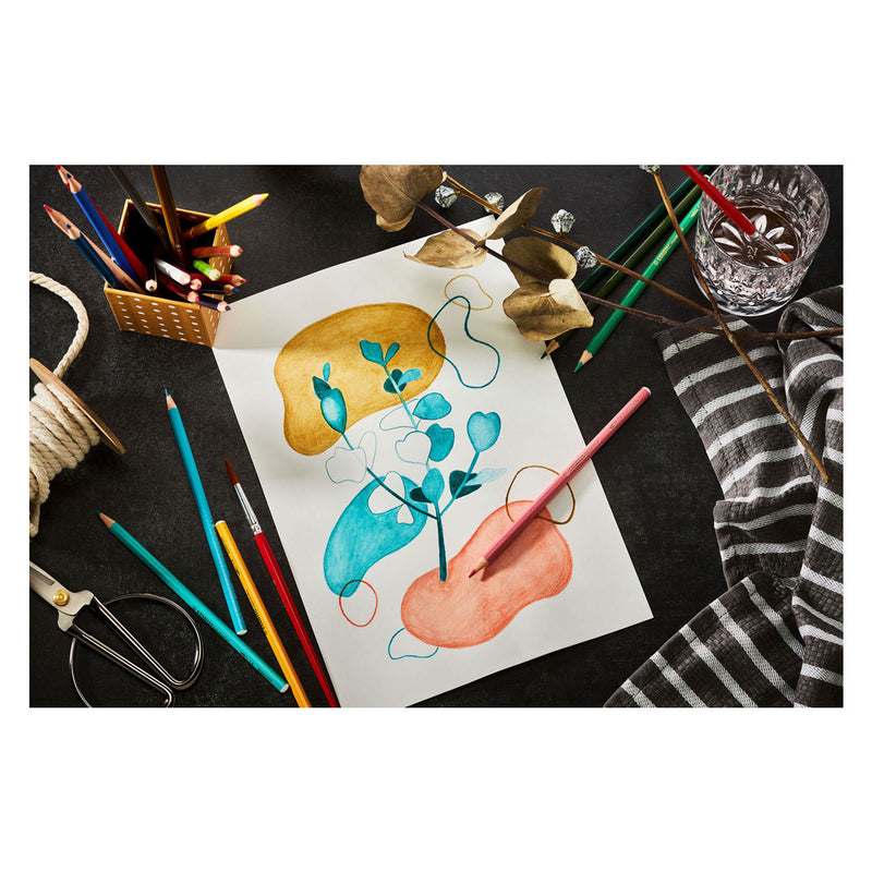 Afbeelding laden in galerijviewer, Stabilo aquacolor - premium aquarel kleurpotloden - arty - metalen etui 24 kleuren
