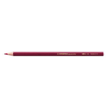 Stabilo aquacolor - premium aquarel kleurpotloden - arty - etui met 36 kleuren