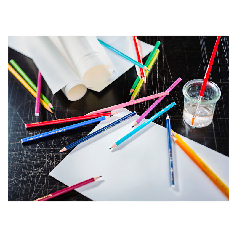 Afbeelding laden in galerijviewer, Stabilo aquacolor - premium aquarel kleurpotloden - arty - etui met 36 kleuren
