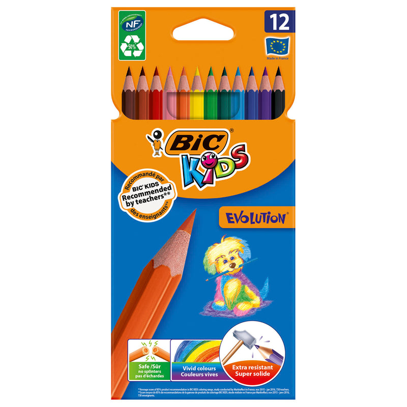 Afbeelding laden in galerijviewer, Bic kids ecolutions evolution, 12st.
