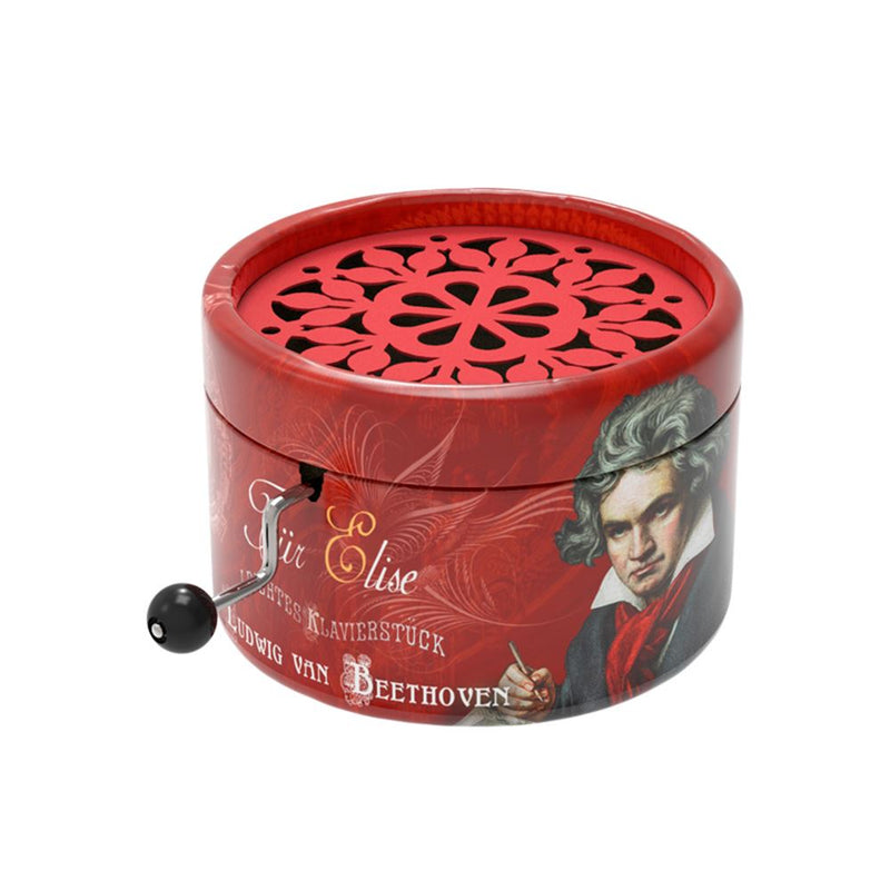 Afbeelding laden in galerijviewer, Rondo07 muziekje: beethoven portrait (fu
