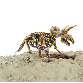 Afbeelding laden in galerijviewer, Dinobase dino 3d triceratops skelet
